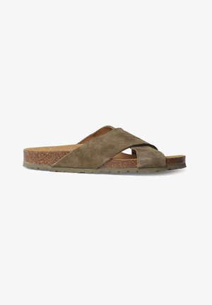 Toni Pons
GOL-QT - Mules - army